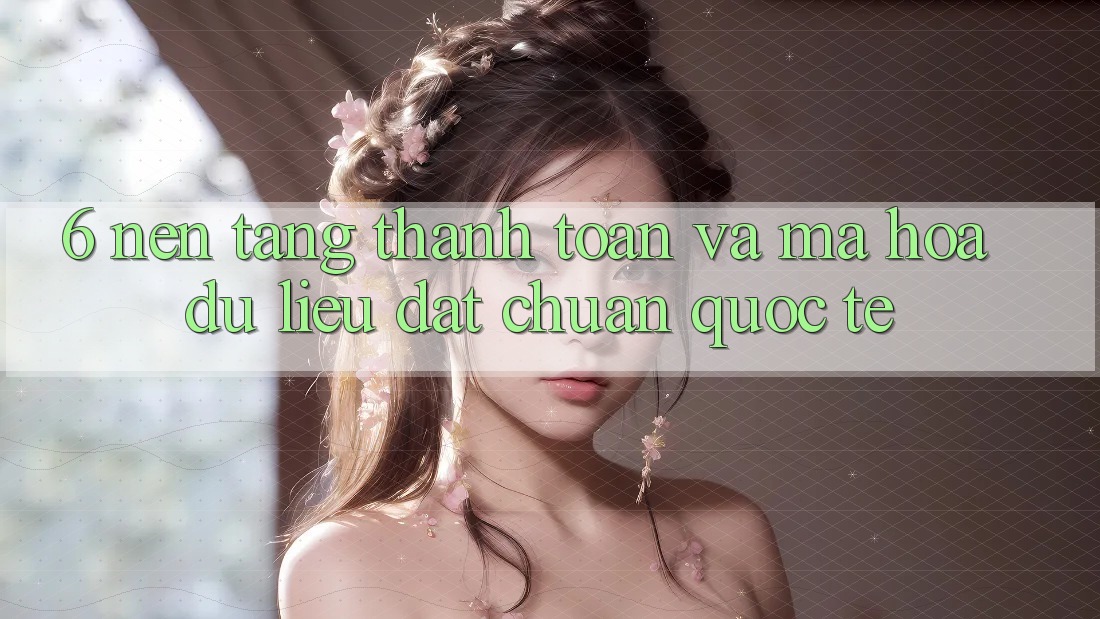 6. Nền tảng Thanh toán Và Mã hóa dữ liệu Đạt Chuẩn Quốc Tế 6. Nền tảng Thanh toán Và Mã hóa dữ liệu Đạt Chuẩn Quốc Tế